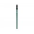 Clarke Sweetone yeşil, kılıflı İrlanda Flütü -Tinwhistle C