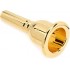 DW Heritage 4AL GP altın kaplama Trombon Ağızlık